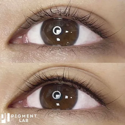 Перманентный макияж/Татуаж от Дианы Авербух. Permanent Make-Up Microblading  - 👁❣️🌟ИСПРАВЛЕНИЕ/ПЕРЕКРЫТИЕ НЕКАЧЕСТВЕННОГО ТАТУАЖА ВЕРХНЕГО ВЕКА + НИЖНЕЕ  ВЕКО + ПОДВОДКА СЛИЗИСТОЙ🌟❣️👁COVER-UP LOW-QUALITY TATTOO OF THE UPPER  EYELID + EYELINER OF ...