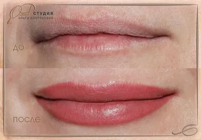 Можно ли увеличить губы с помощью перманентного макияжа? | PM LABORATORY  микропигментация