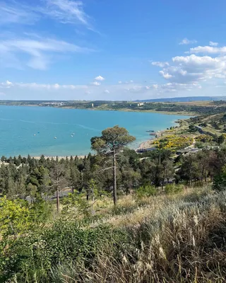 Можно ли купаться в Тбилисском море? Специалисты проверили качество воды -  25.06.2019, Sputnik Грузия