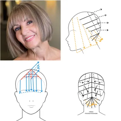 Схема для объёмной стрижки \"Каре\". Вариант для зрелых женщин. Простой  способ выполнения | Женщинам от Натальи Кононовой | Дзен