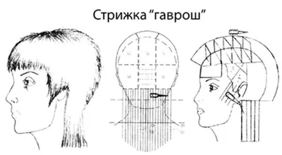 Ретро в моде. Возрождение стрижки \"Гаврош\". Старая схема и описание. |  Наталья Кононова | Дзен