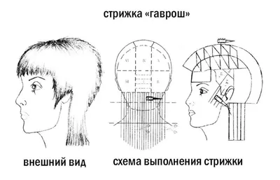 Модные мужские стрижки 2023-2024: на короткие, средние и длинные волосы:  Внешний вид: Ценности: Lenta.ru