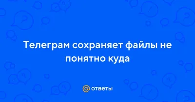 Как отключить автосохранение Фото и Видео в Viber, WhatsApp и Telegram на  Айфоне