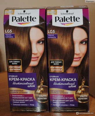 Краска для волос Palette Perfect Color 566 Темная карамель в Киеве и  пригороде: купить по хорошей цене с доставкой. Розница, фасовка шт