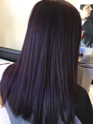 Темный цвет волос с фиолетовым отливом (49 лучших фото)