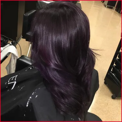 Темные волосы с фиолетовым отливом - 73 фото