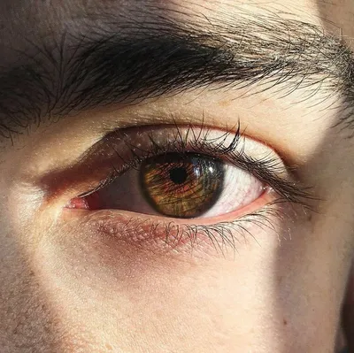 Ореховый цвет глаз у мужчин - 72 фото