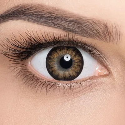 Очи черные: макияж для карих глаз - Красота - WomanHit.ru