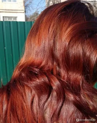 Chandi - Краска для волос 100% натуральная: купить по лучшей цене в Украине  | Makeup.ua