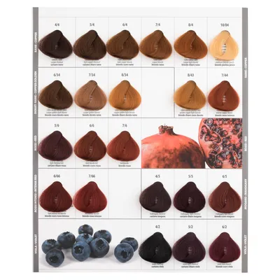Syoss Color 6-7 Золотистый темно-русый краска для волос Schwarzkopf -  отзывы, применение, купить.