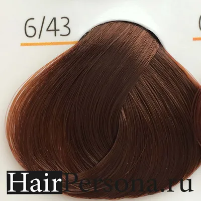 Краска для волос профессиональная Silk Color 6.3 Dark Golden Blonde темно-русый  золотистый - Пигмент прямого действия с пониженным аммиаком CRIOXIDIL by  Salerm, 100 мл - купить с доставкой по выгодным ценам в