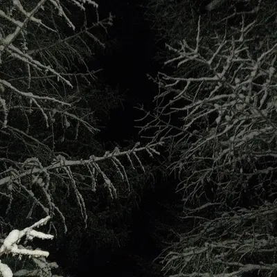 Темный лес, Лю Цысинь – скачать книгу fb2, epub, pdf на ЛитРес