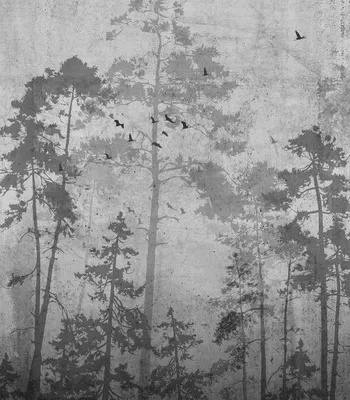Темный лес стоковое фото ©studioflara 10501926