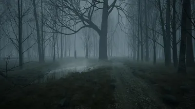 Смотреть фильм Темный лес (2021) онлайн в хорошем качестве HD