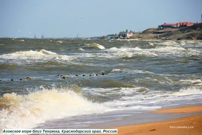 Фотография Россия, Краснодарский край, побережье Азовского моря, город  Темрюк. Вид с автодороги Темрюк-Голубицкая на станицу Голубицкая, берег  Азовского моря и пляж. | Фотобанк ГеоФото/GeoPhoto | GetImages Group