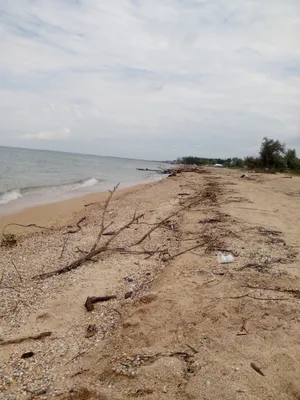 Глава Темрюкского района: приятные особенности Азовского моря - песчаные  отмели и прозрачная спокойная вода