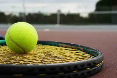 Правила настольного тенниса