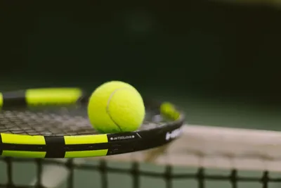 https://falconclub.by/tennis-i-skvosh/