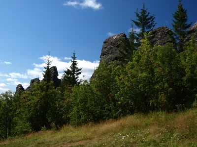 Гора «Колпаки» в Пермском крае — как добраться, фото, на карте, где  находится