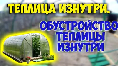 Теплица (внутри) | Теплица на заказ в Октябрьском, купить теплицу недорого  из металла и поликарбоната