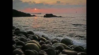 Самое теплое море — в Геленджике | \"Прибой\" – новости Геленджика сегодня