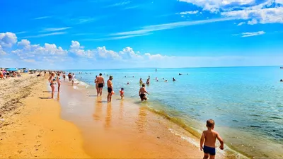 Запас сосен и теплое море»: приморцы показали популярное место отдыха без  туристов