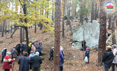 Замена ограждения МКД р.п. Тереньга ул. Евстифеева д. 62, д. 64, д. 66 |  Тереньгульский район Ульяновской области