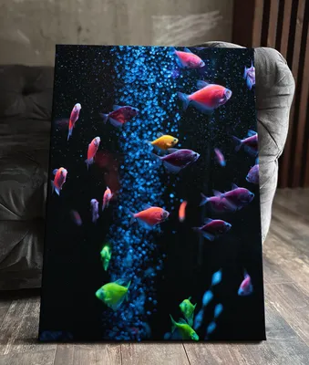 Купить Тернеция красная GloFish - Danio.com.ua