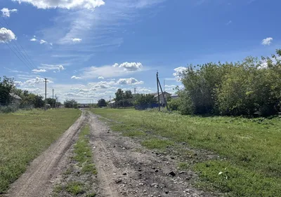 Брата и сестру оставили в СИЗО за убийство детей в Воронежской области