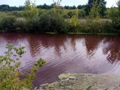 Wildberries, пункт выдачи, Зелёная ул., 24, село Терновка — Яндекс Карты