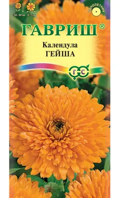 Купить Набор для выращивания Лимонник китайский 1 шт. за 200 руб. почтой |  «Сад-Эксперт» – Семена деревьев