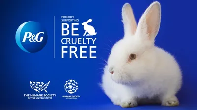 Тестировать косметику на животных запретили в Беларуси