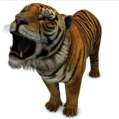 Bengal Tiger 3D Model Rigged and Low Poly Game ready - Team 3d Yard