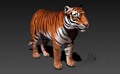 Animated Furry Tiger 3D Model for Download - YouTube