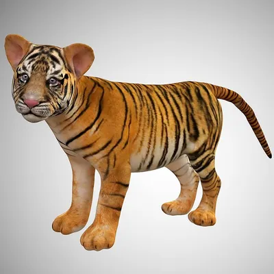 Tiger 3D by kendriv on DeviantArt