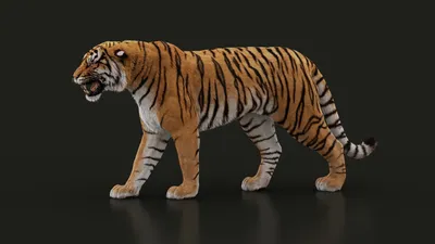 Tiger 3D Wallpaper Wall Mural