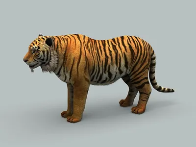 Tiger Simulator 3D 🕹️ Play on CrazyGames