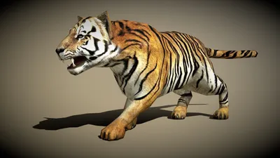 Cartoon Tiger Animated 3D Model in Characters - UE Marketplace