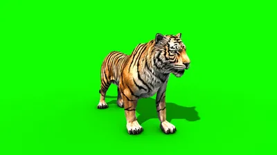 tiger 3D Model in Wildlife 3DExport