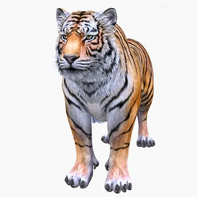 tiger, 3d, animated - Arthub.ai