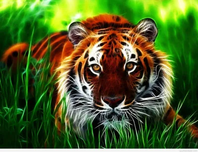 3DRT - Safari animals - Tiger - Buy Royalty Free 3D model by 3DRT.com  (@3DRT.com) [723903a]
