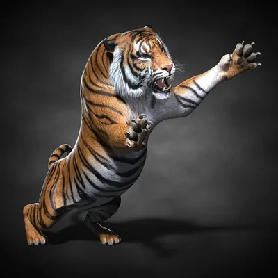 Watch Clip: Time Lapse 3D Drawing: Young Tiger | Prime Video