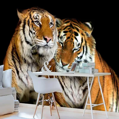 Bold 3D Tiger Face Art for Any Space | Clawcrafts