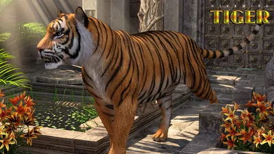 3D Tiger Desktop Wallpaper | Here you can free download 3D T… | Flickr