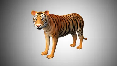 Digitally rendered big wild cat, red tiger, 3D Illustration Stock Photo -  Alamy