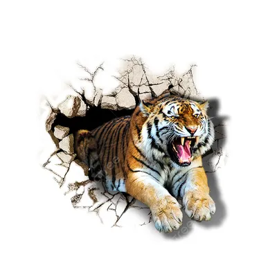 Tiger 1.2 - Buy Royalty Free 3D model by 3dartstevenz (@3dartstevenz)  [a22c626]