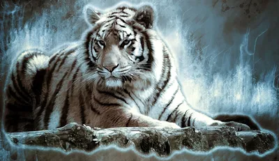 Tiger HD Wallpaper wallpaper by balapradeep - Download on ZEDGE™ | a213