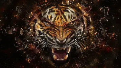 Tiger HD Wallpapers:Amazon.ca:Appstore for Android