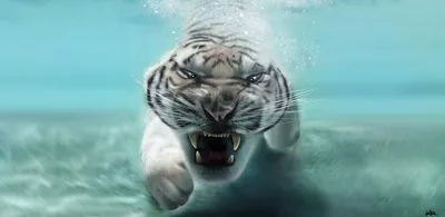 Tiger HD Wallpaper for Android