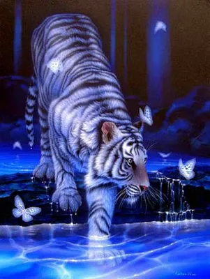 Обои на телефон тигр, полосатый, хищник - скачать бесплатно в высоком  качестве из категории \"Животные\"